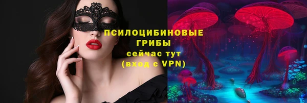 ГАЛЛЮЦИНОГЕННЫЕ ГРИБЫ Белокуриха