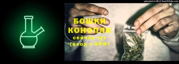 ГАЛЛЮЦИНОГЕННЫЕ ГРИБЫ Белокуриха
