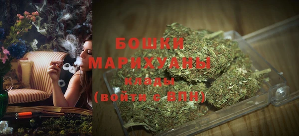 ГАЛЛЮЦИНОГЕННЫЕ ГРИБЫ Белокуриха